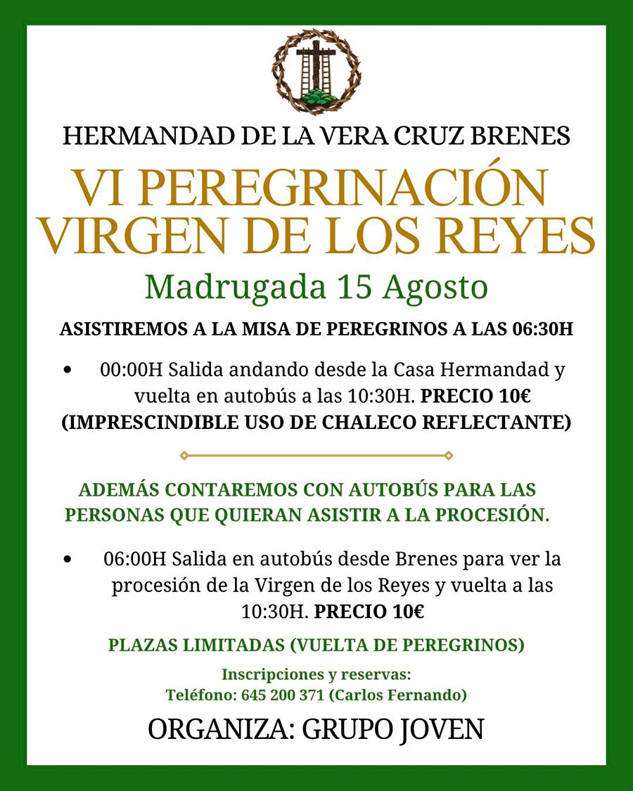 VI Peregrinación Virgen de los Reyes. Programa