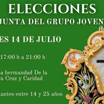 Elecciones a la Junta del Grupo Joven