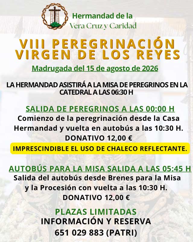 VIII Peregrinación Virgen de los Reyes
